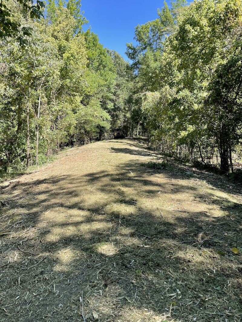 River Valley Tree Mulching And Brush Grubbing